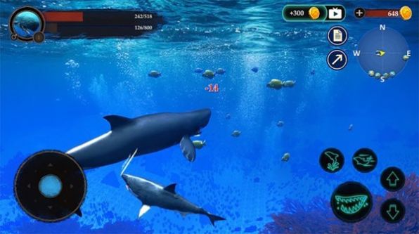 抹香鯨模擬器游戲截圖
