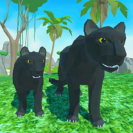 黑豹家庭模拟3D冒险丛林中文版（Panther Family Simulator 3D）