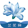兰花网app