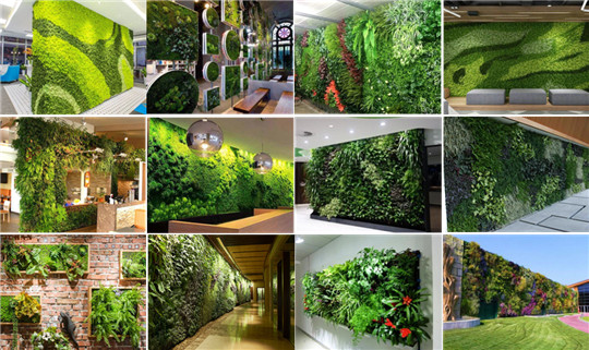 水培植物墙,室内植物墙