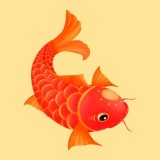 红鱼赚app