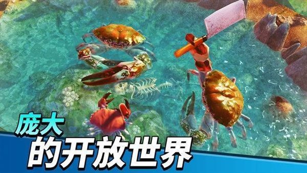 螃蟹之王破解版中文版截图