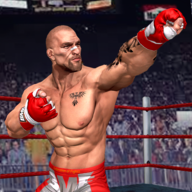 英雄拳击竞技场（Punch Boxing Fighter 2021）