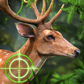 猎鹿动物狩猎（Deer Hunting）